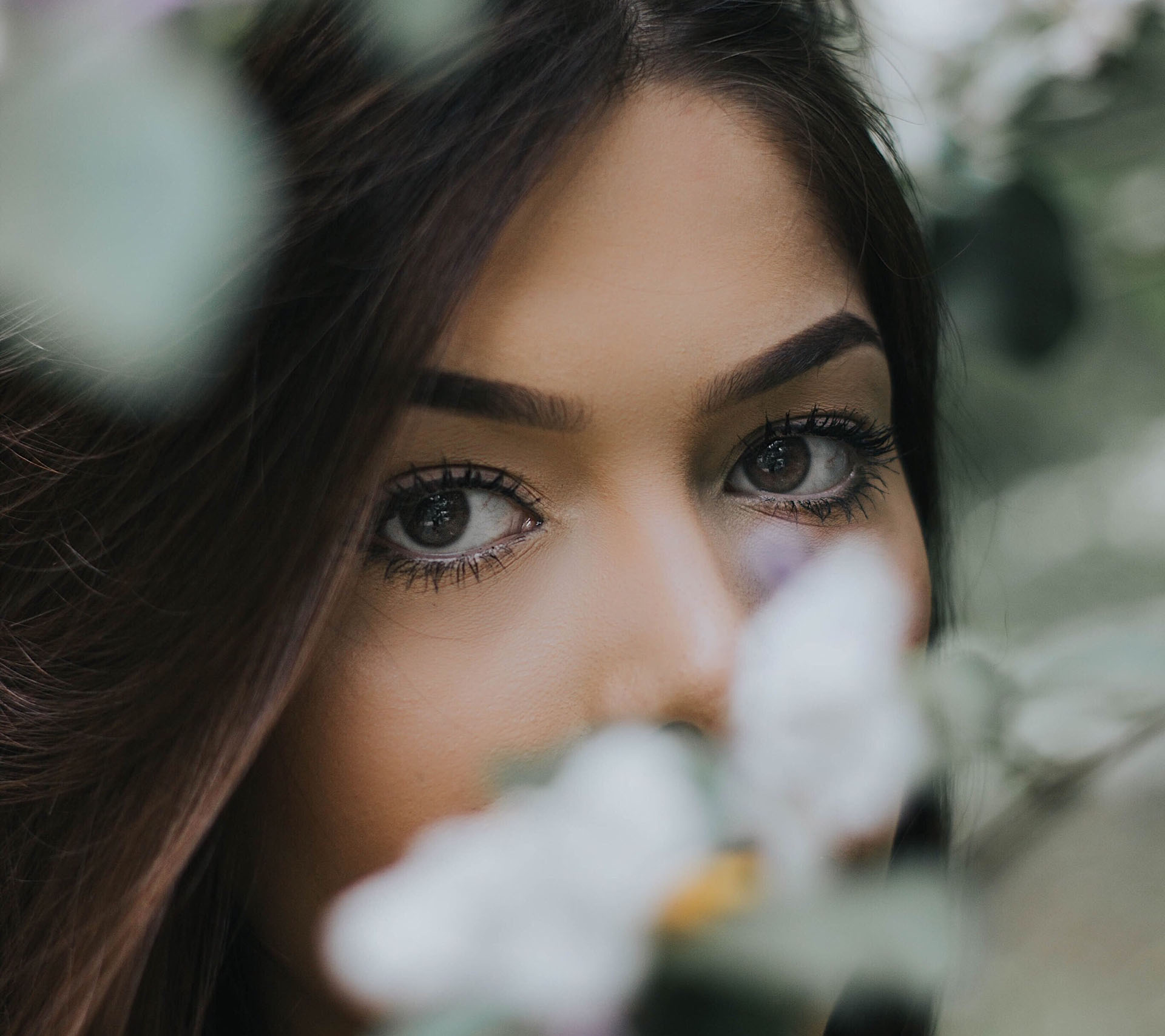 brow stylist