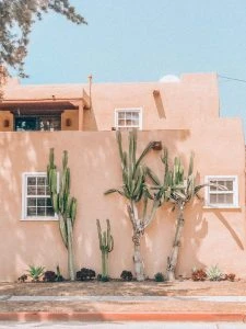 viviana-rishe-1063749-unsplash