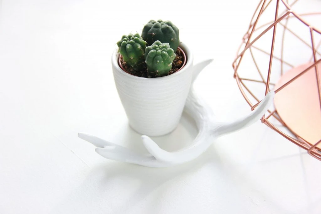 minimal_bronze_stock_photo_13