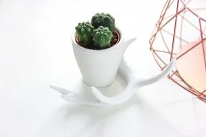 minimal_bronze_stock_photo_13